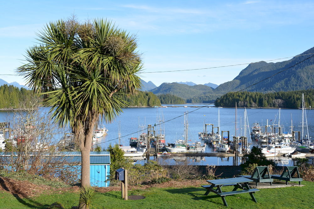 Tofino Motel Harbourview Kültér fotó