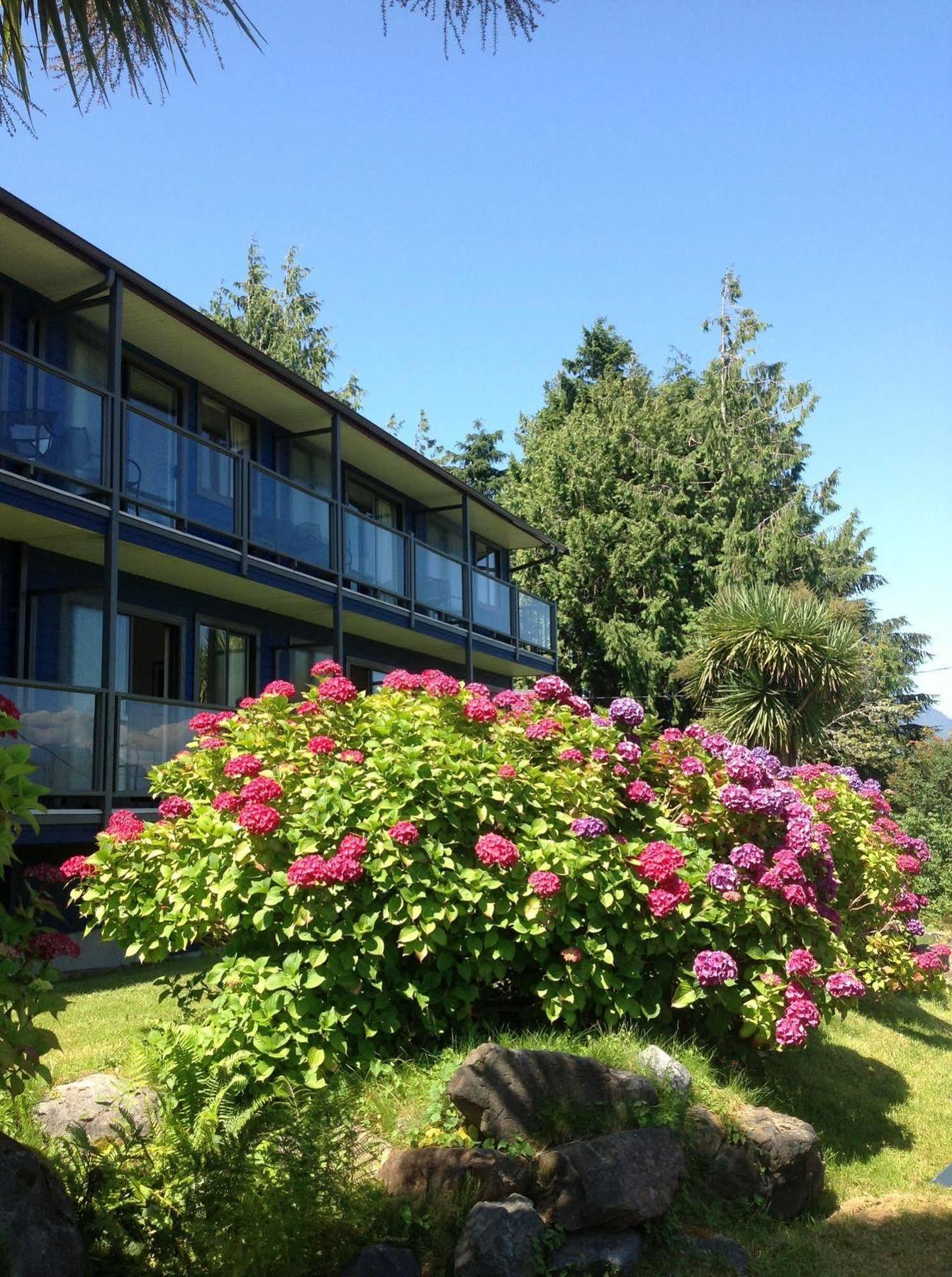 Tofino Motel Harbourview Kültér fotó
